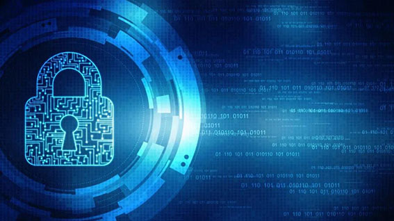 1598519991186370.jpg 5wx.jpg